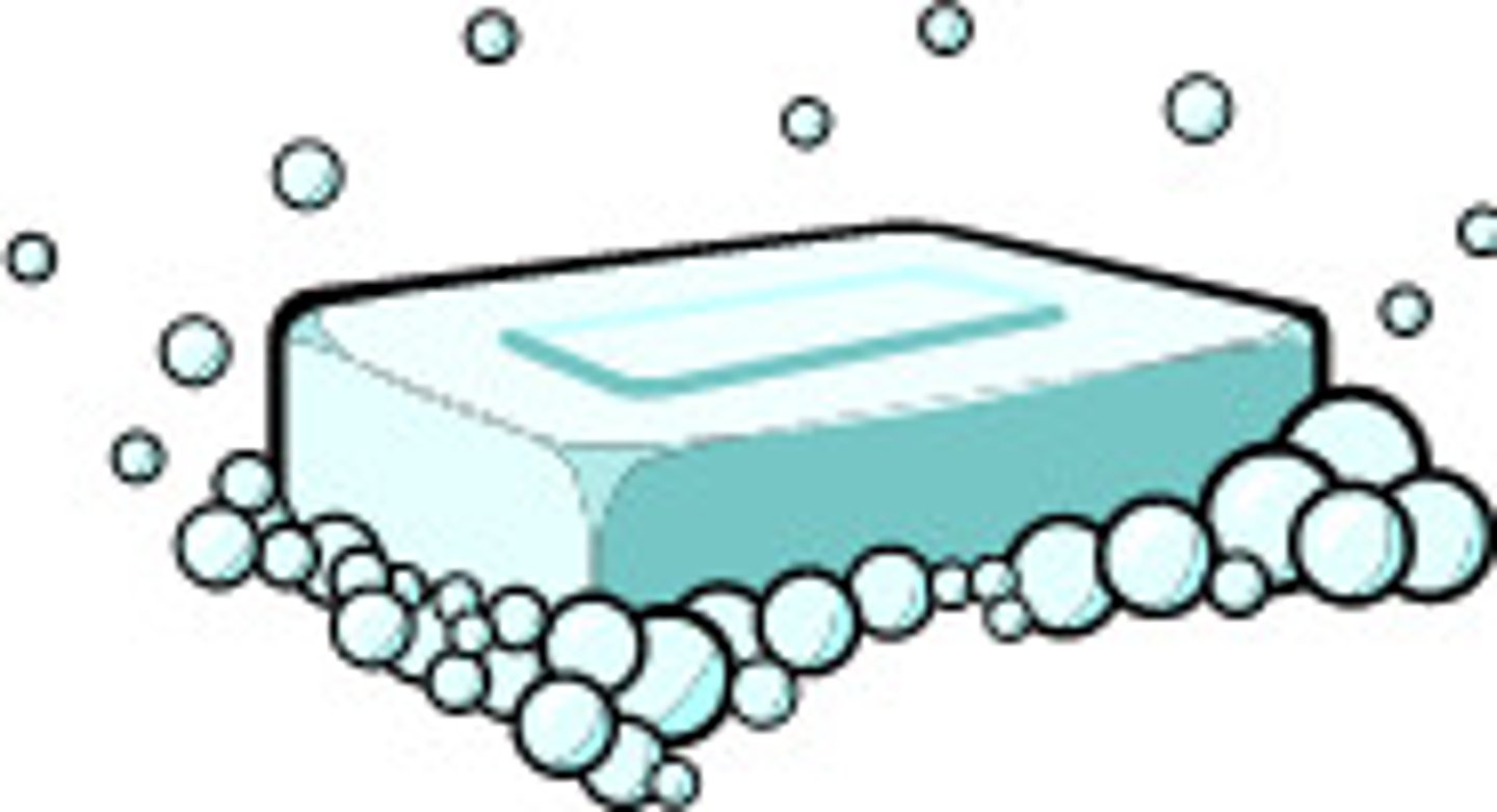 <p>bar of soap</p>