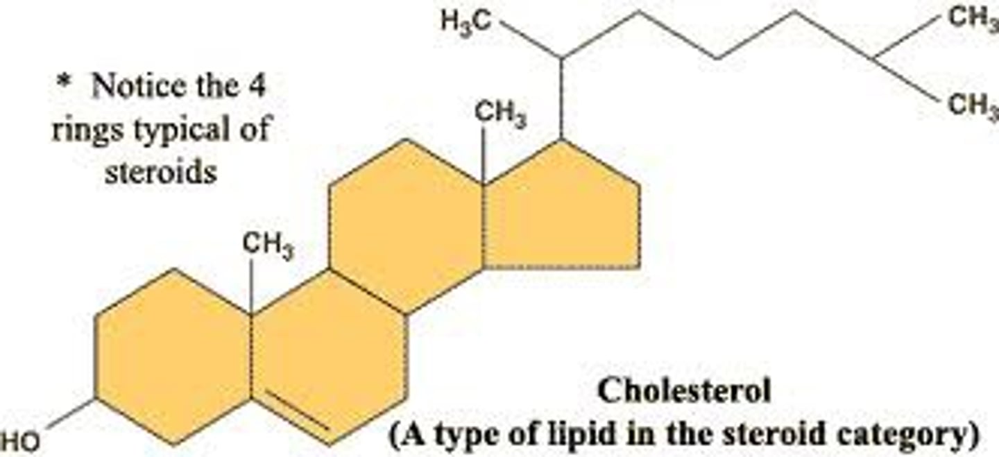 <p>- Example of a steroid that plays significant role in structure of cell membrane</p><p>- 4 rings</p><p>- LDL and HDL</p>