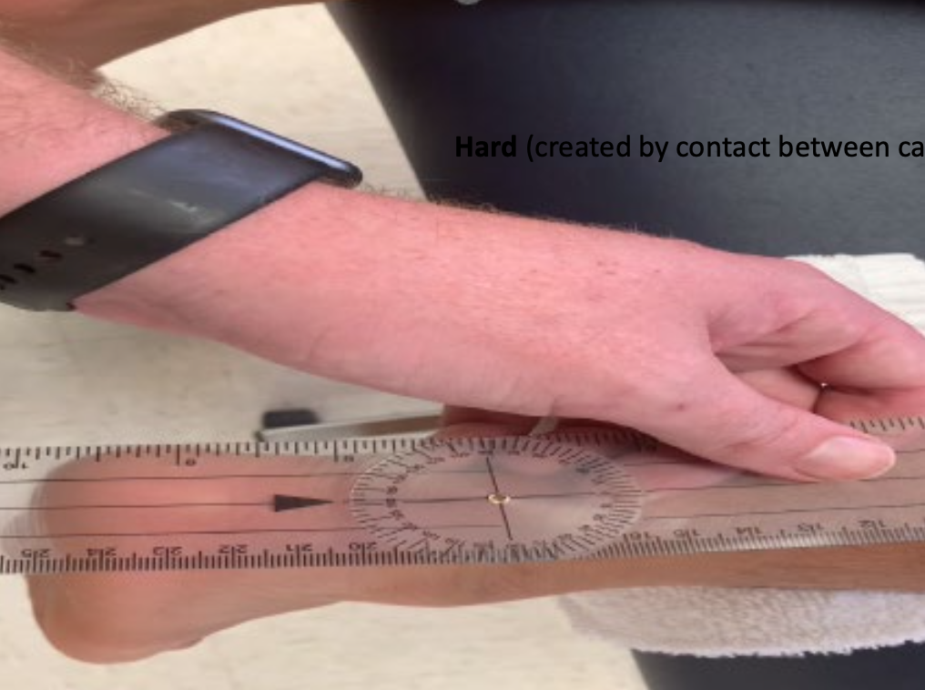 <p>4˚</p><p>hard end feel</p>