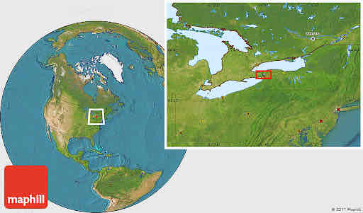term image
