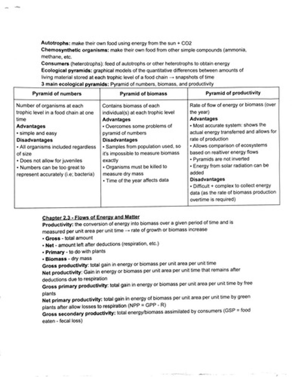 <p>Organisms that make their own food.</p>