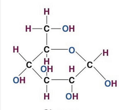 <p>what does this show </p>