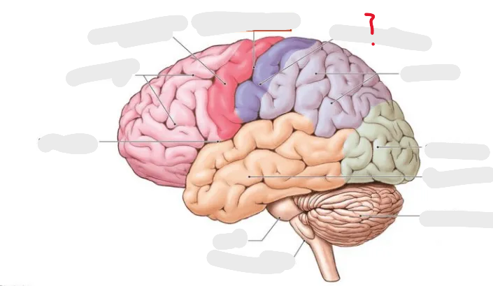 <p>What is this and what is its function?</p>
