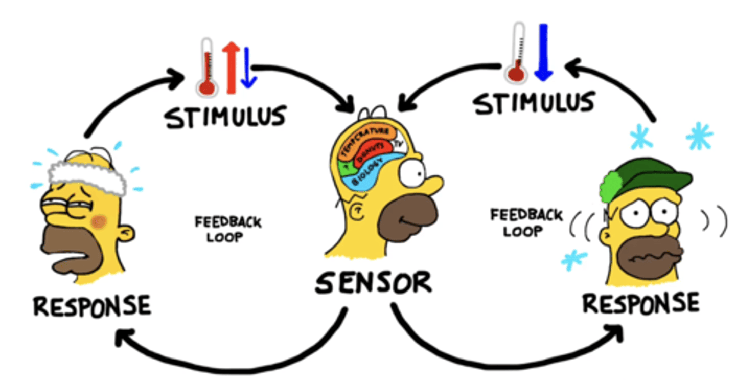 <p>an action or message as a result of a signal</p>