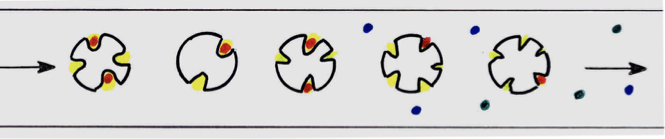 <p>A chromatographic technique used for separating compounds in a liquid phase, where the stationary phase is a liquid coated on a solid support and the mobile phase is a liquid that carries the analytes through the column. </p>