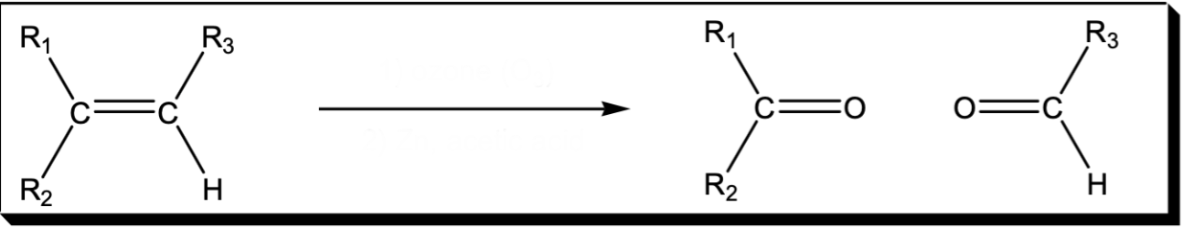 <p>Cleavage of a C=C double bond </p>