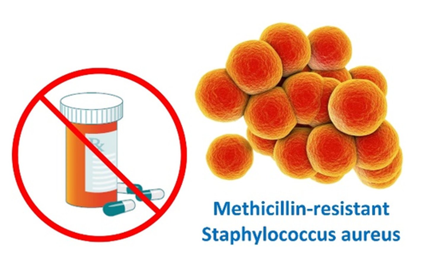<p>bacteria that cause infections which are very difficult to treat because they've adapted to survive against common antibiotics (ex: MRSA, VRE)</p>
