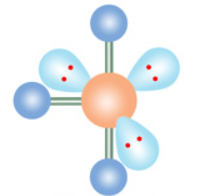 <p>m: T-shaped e: octahedral</p>