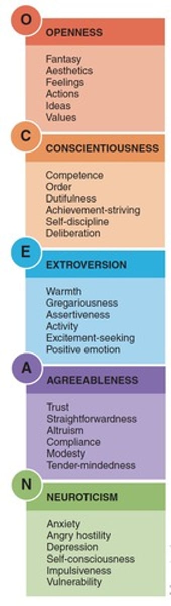 <p>openness,</p><p>conscientiousness,</p><p>extraversion,</p><p>agreeableness,</p><p>neuroticism</p>