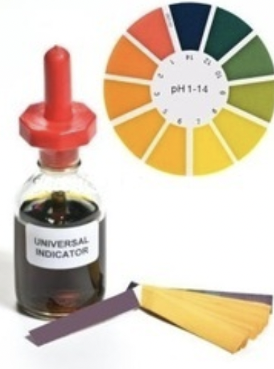 <p><span>Universal indicator is a <strong>mixture of different indicators </strong>which is able to detect multiple different pHs</span></p><img src="https://lh7-rt.googleusercontent.com/slidesz/AGV_vUdpdb1dBKNzF28sz4oqd2yYiZZCljVJAG6FD3Y6PtOrfSdRN3aUtroRG0vbZwJixqwi32ldRDcVf-FrAGUnzuWtapZMkXG_Ig7V-j3eALddlPdmyOkDUjDeNHy2vbTVW1T9iVpx-YOCP_NXGQmCOFNLSkNe2ezgBqpzmytgI7GoZgk7USxP6u8=s2048?key=F_vqr-Qi_1DYJtVXPUdP9A" data-width="100%" data-align="center" alt="Universal Indicator and the pH Scale Diagram | Quizlet"><p></p>