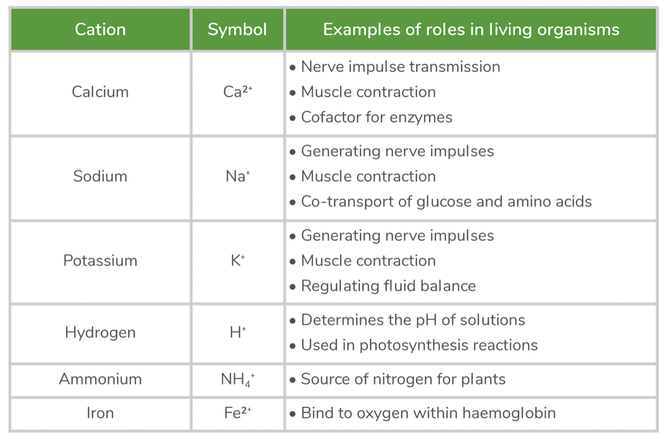 knowt flashcard image