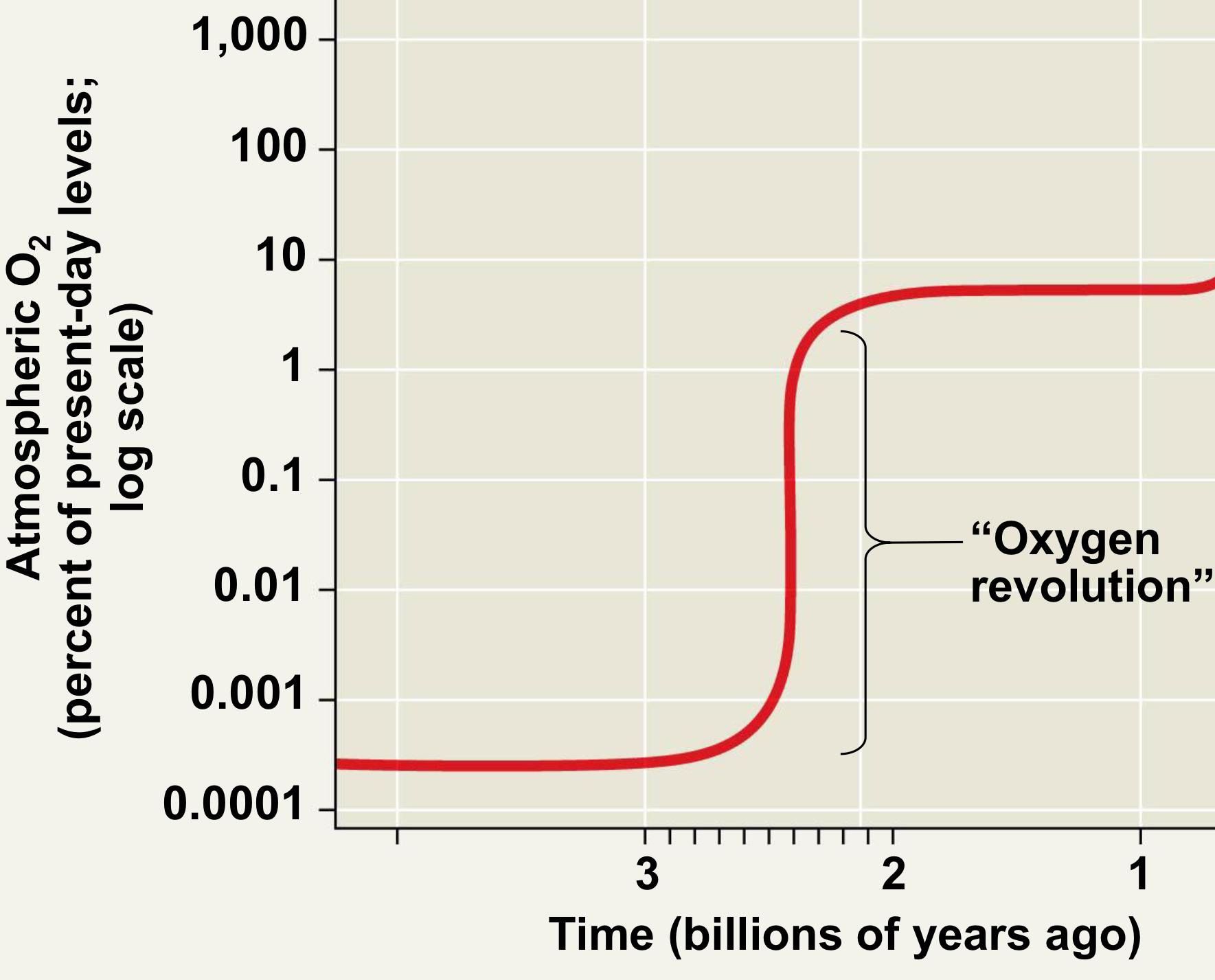 <p>What is the Oxygen Revolution and what did it do?</p>