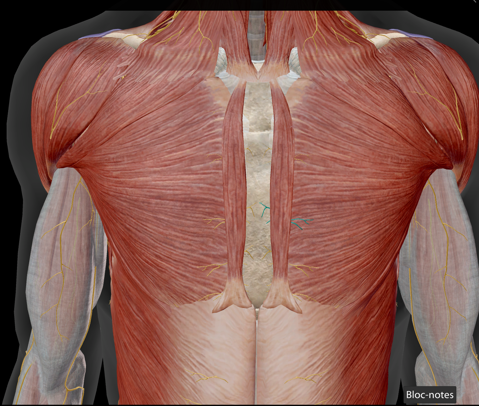 <p>sensitif peau</p>