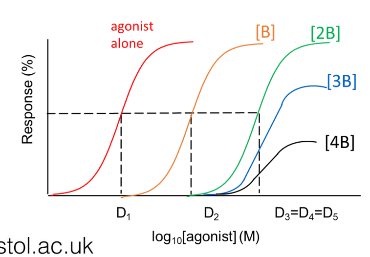 A decreased maximal response with a shorter curve, as antagonism is not overcome by increasing agonist concentration.