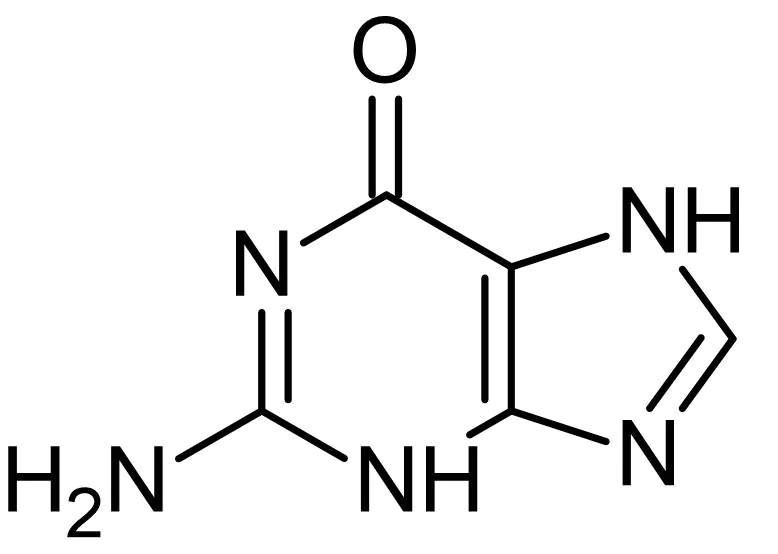 <p>what is this nitrogen base </p>