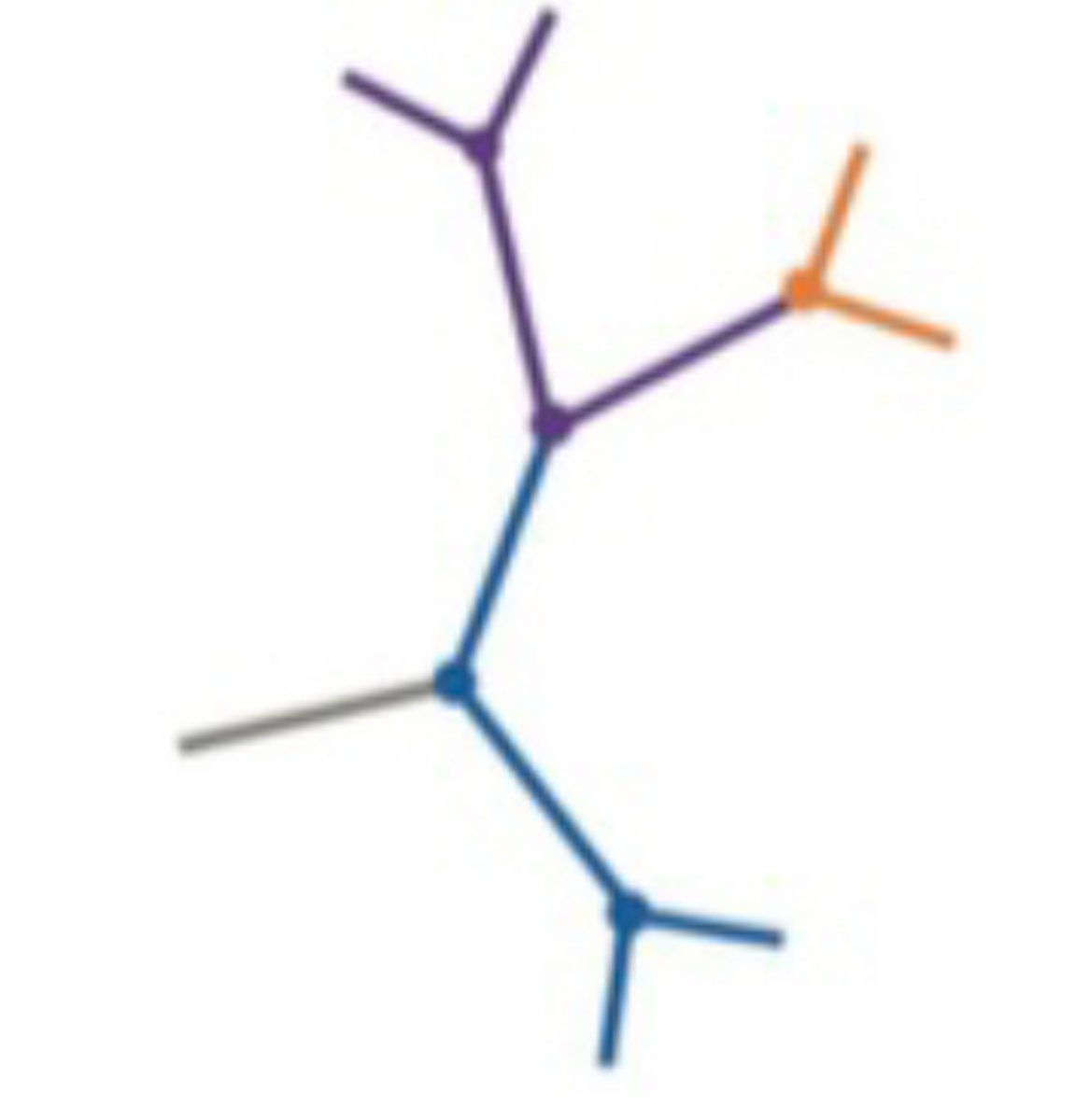 <p>Shows relationship, but does not show the ancestral root</p>