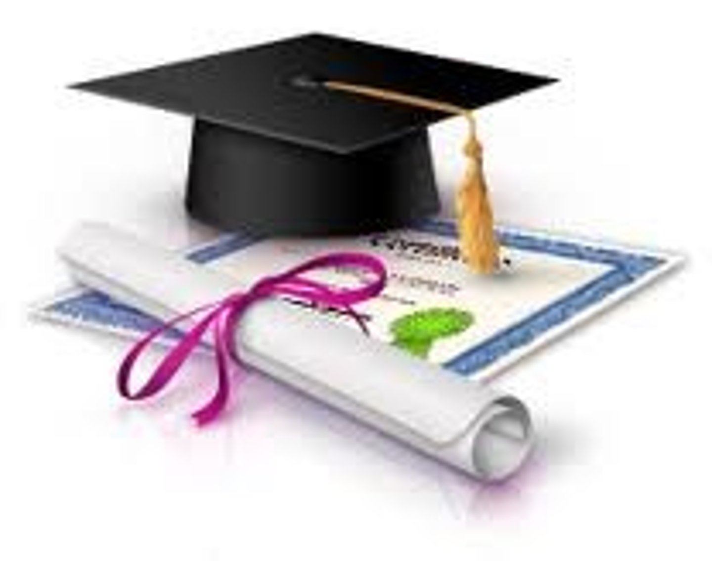 <p>specialized academic qualifications typically offered at the postgraduate level</p>