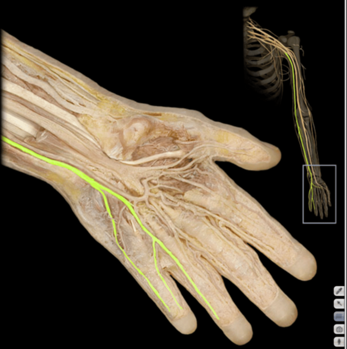 knowt flashcard image