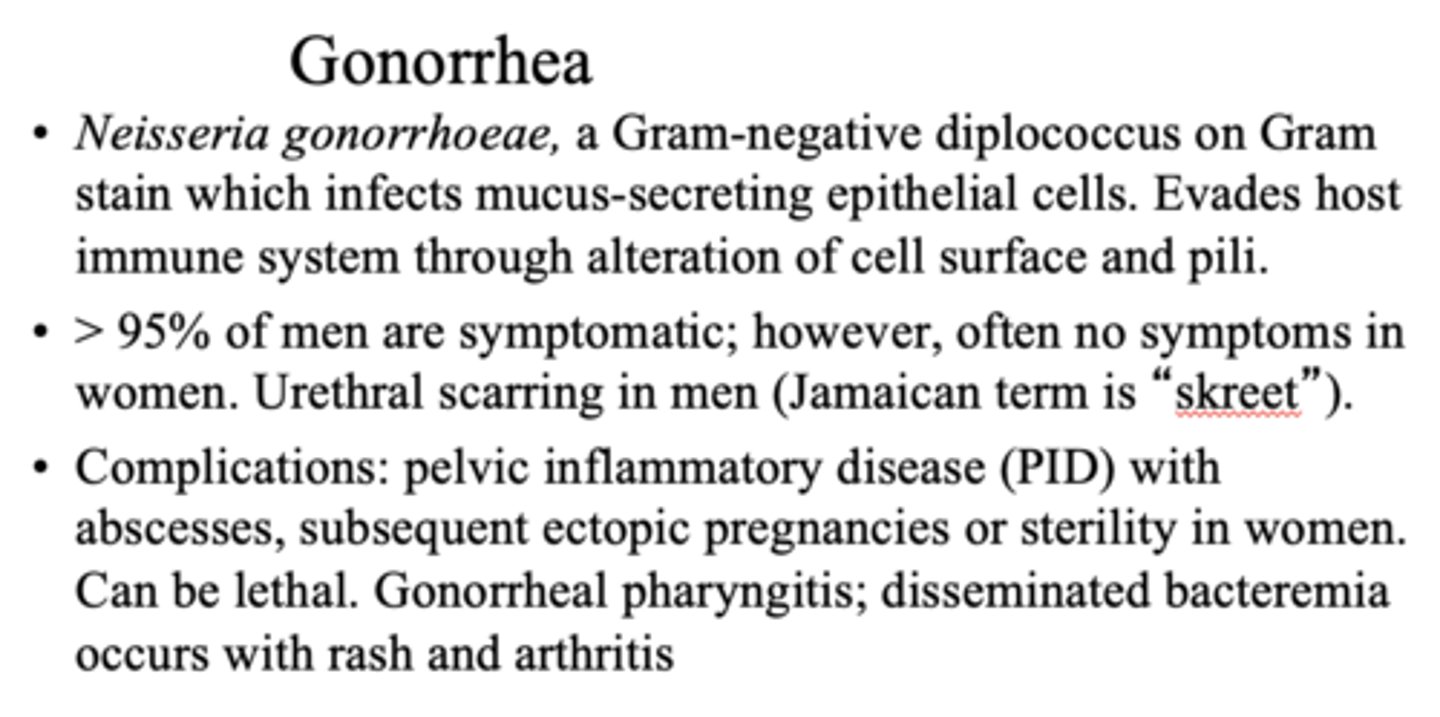 <p>cell surface and pili</p>