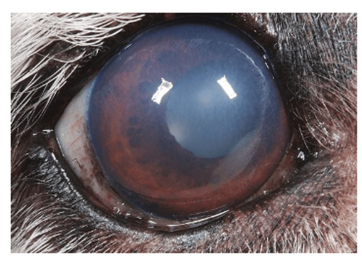 <p>what is this?</p>