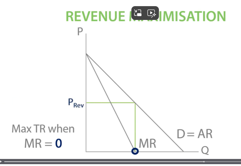 <p>Revenue maximisation</p>