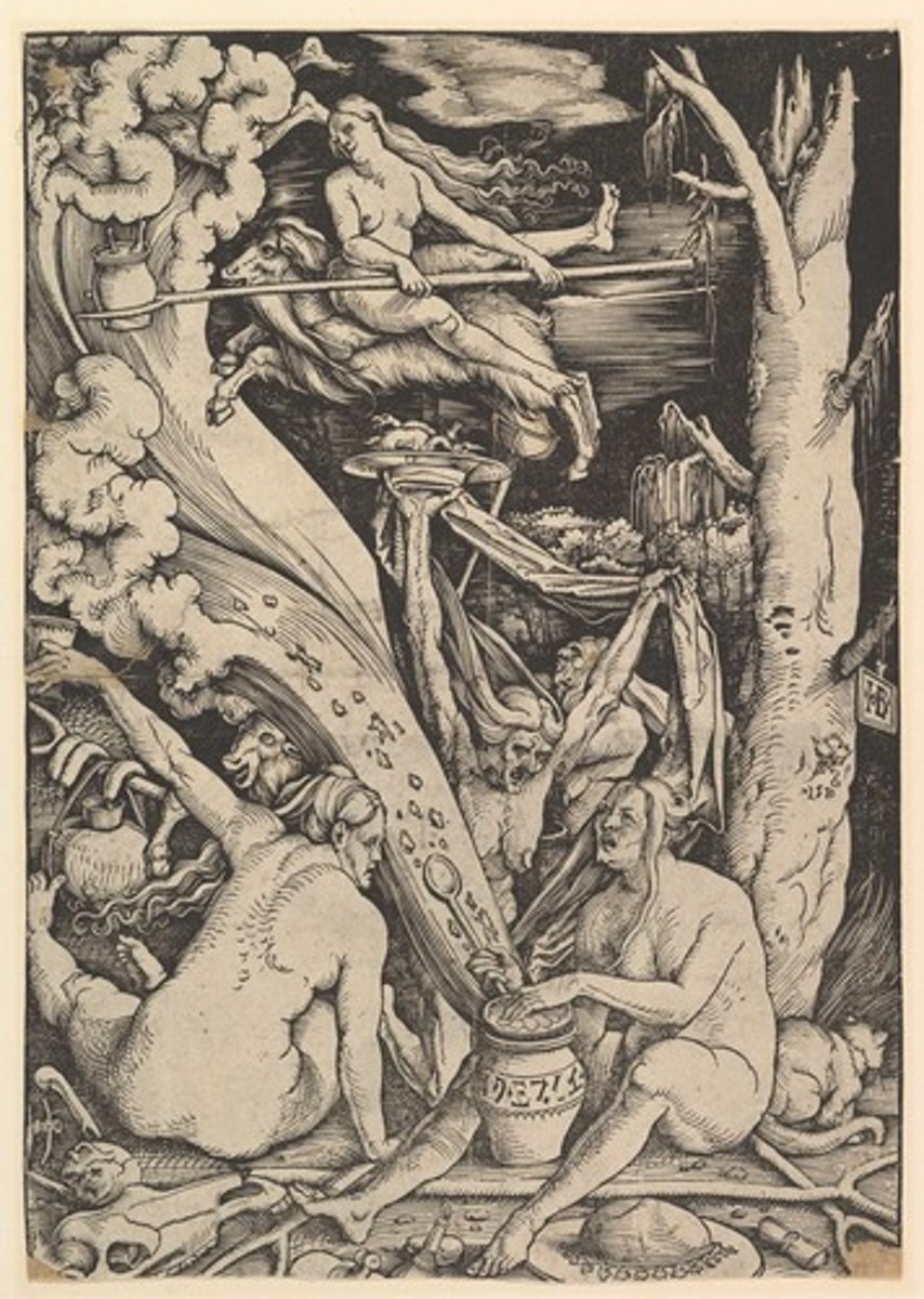 <p>Image</p>