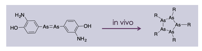 <ul><li><p>Salvarsan was introduced against T. <em>pallidum </em>(syphillis) by Paul Ehrlich</p></li><li><p>Ehrlich introduced the concept of selective therapy using compounds that selectively target the disease, whilst having no effect on healthy tissues </p></li></ul><p></p>