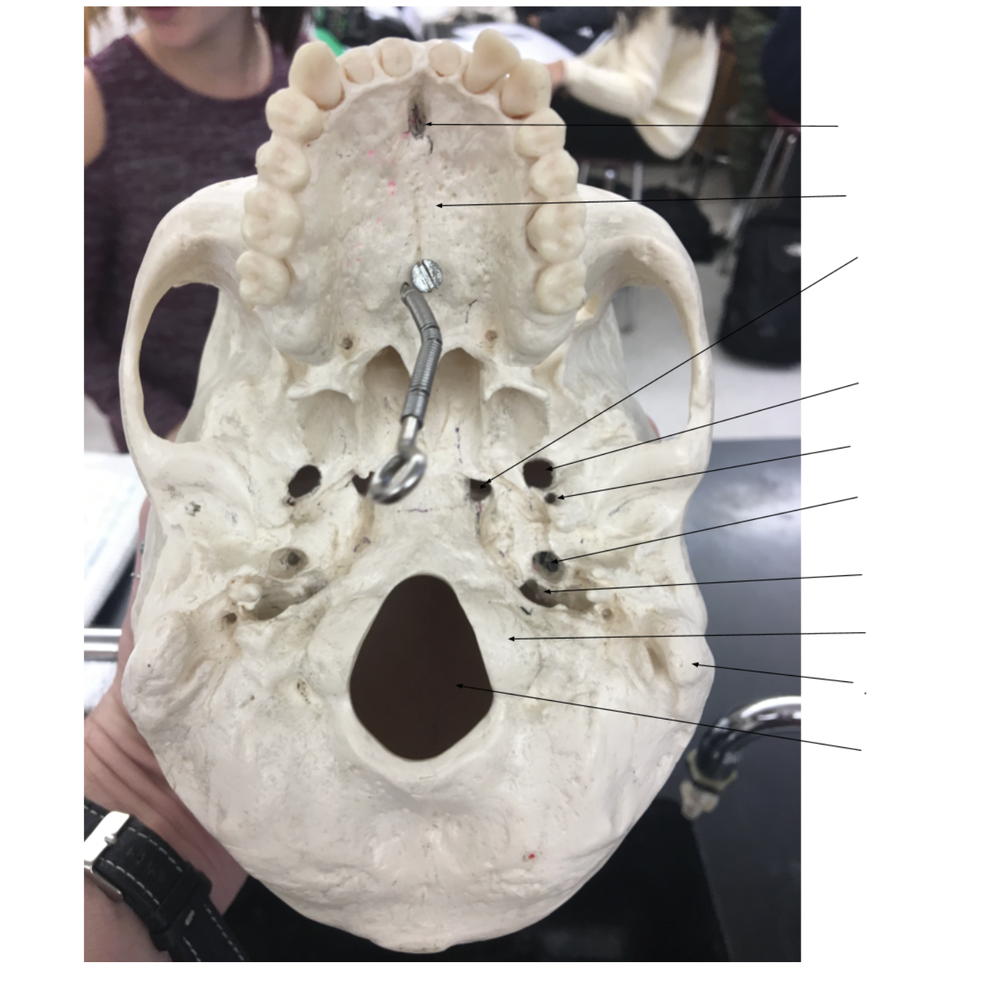 <ol><li><p></p></li><li><p></p></li><li><p></p></li><li><p></p></li><li><p></p></li><li><p></p></li><li><p></p></li><li><p></p></li><li><p></p></li><li><p></p></li></ol><p></p>