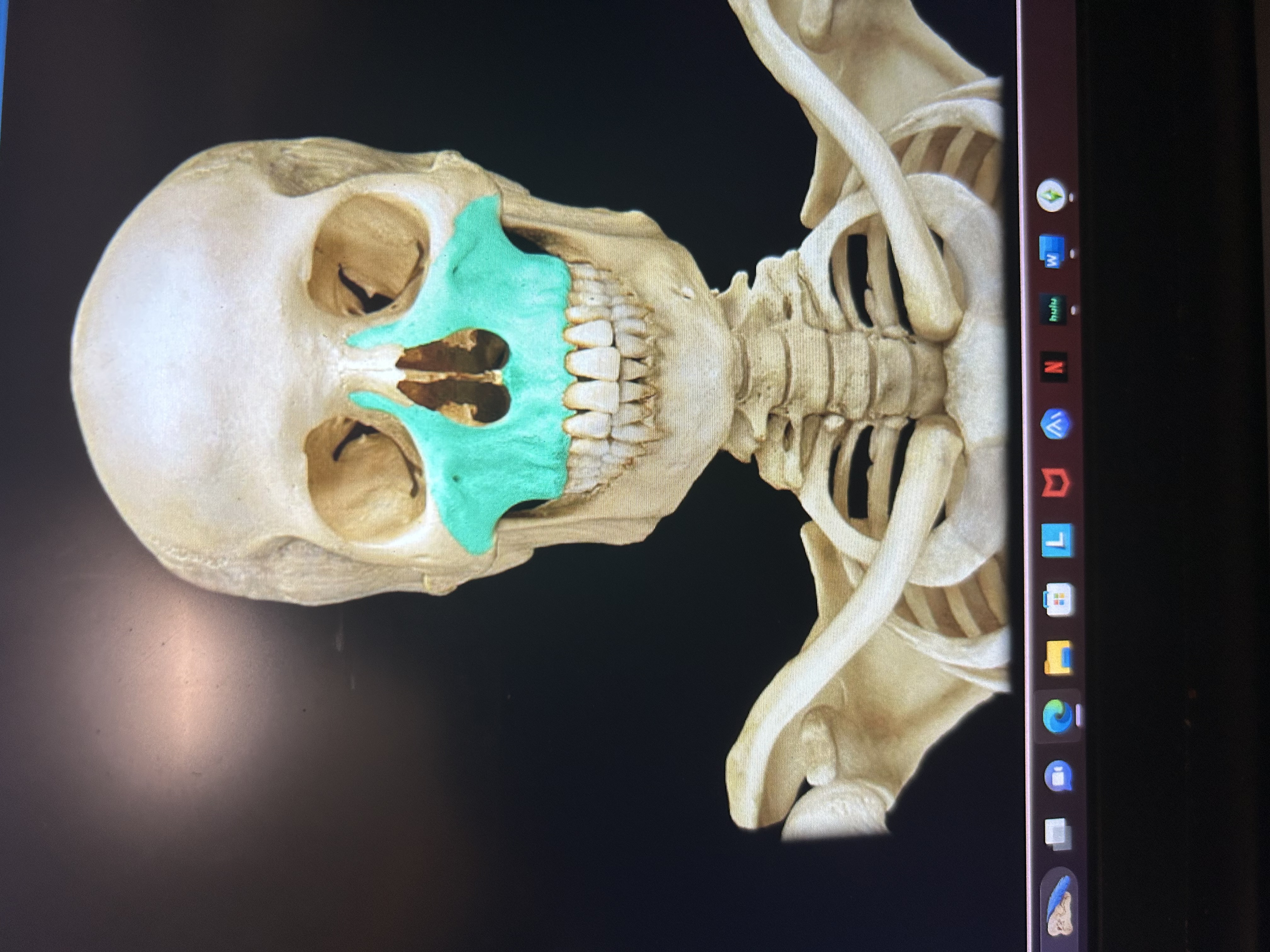 knowt flashcard image