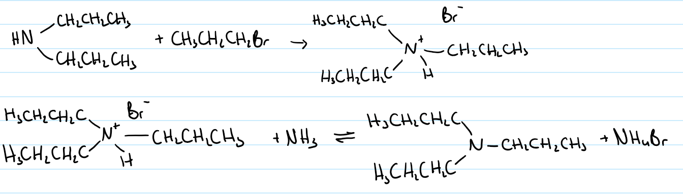 <p>reaction continues from a secondary amine (which came from a primary amine)</p><p>same two steps:</p><ol><li><p>first stage forms a salt</p></li><li><p>reversible reaction between salt and excess ammonia in the mixture to form a secondary amine</p></li></ol><p></p>
