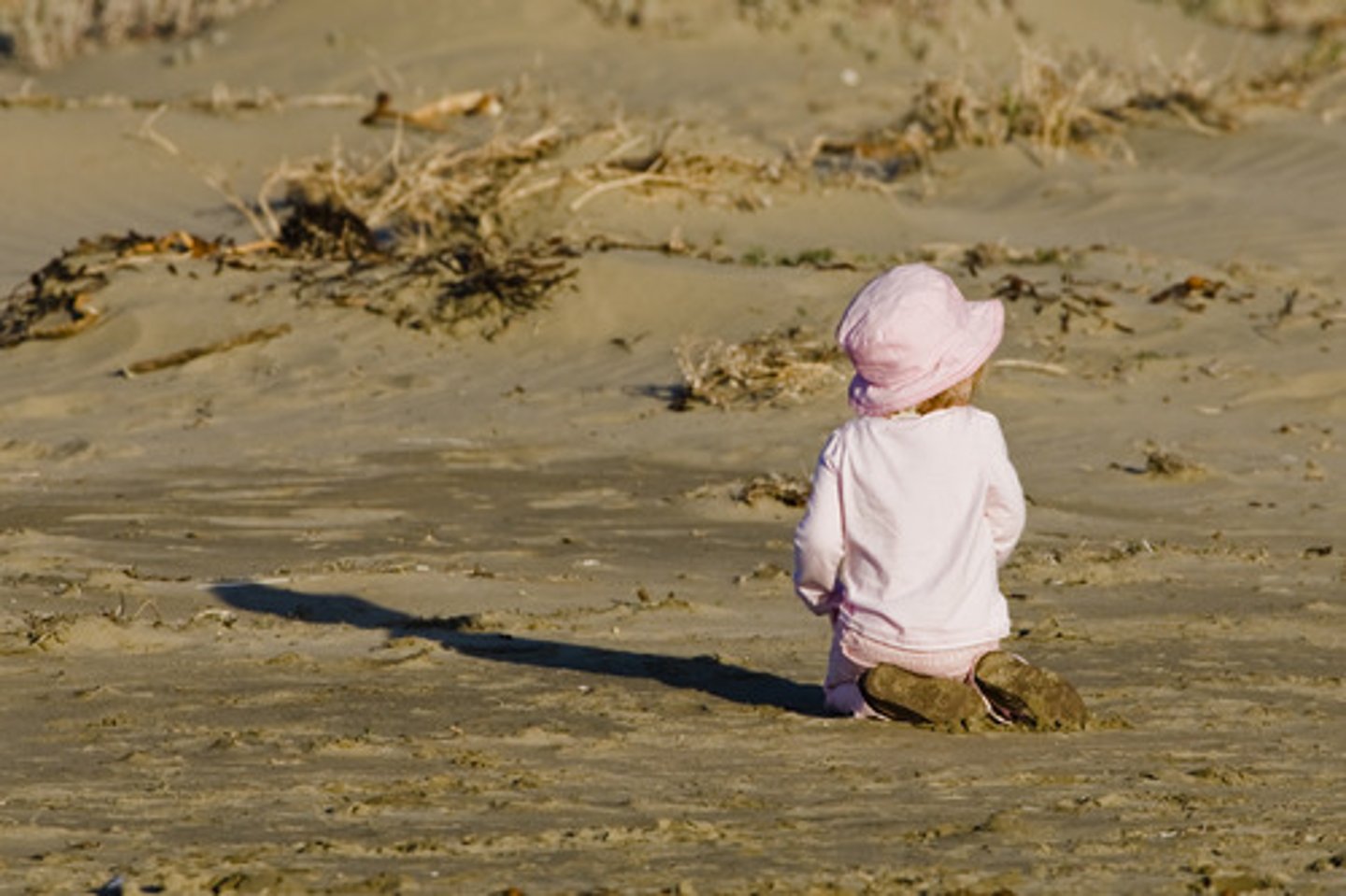 <p>uses subject that start out the same age, they are followed for a long period of time and are assessed periodically.</p>