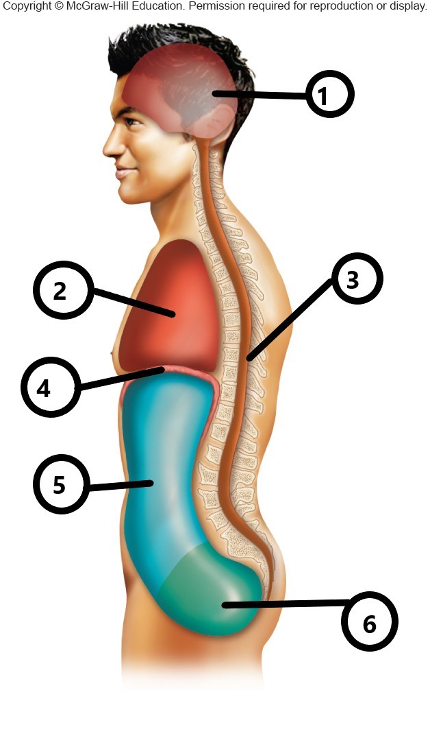 <p>4</p>