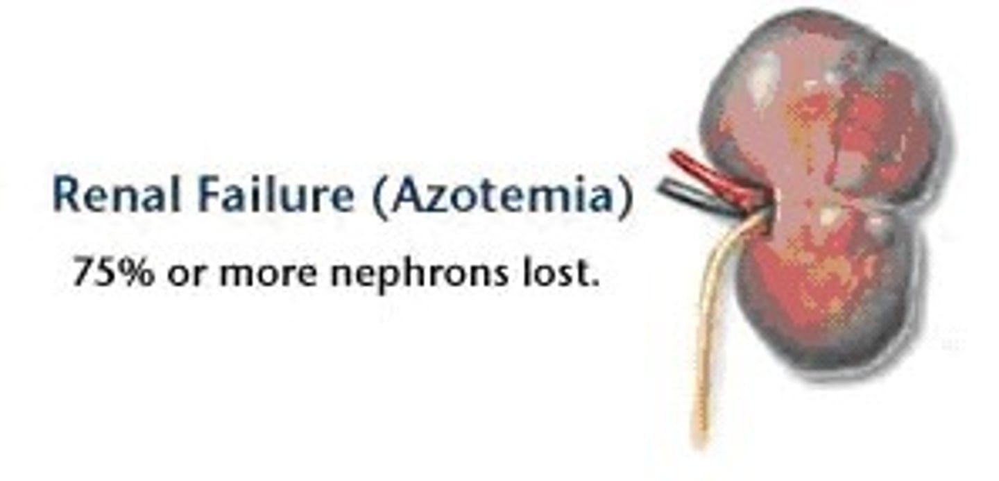 <p>urea in the blood (a toxic condition) also called uremia</p>