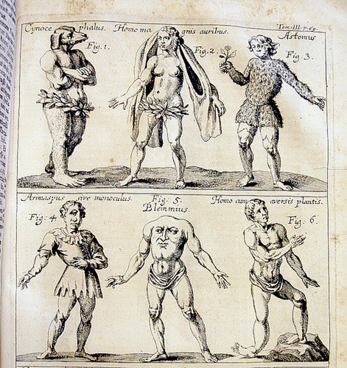 <p>Legendary human-like races described by the Roman author Pliny the Elder, believed in the Middle Ages to inhabit distant lands and often depicted with fantastical physical traits.</p>