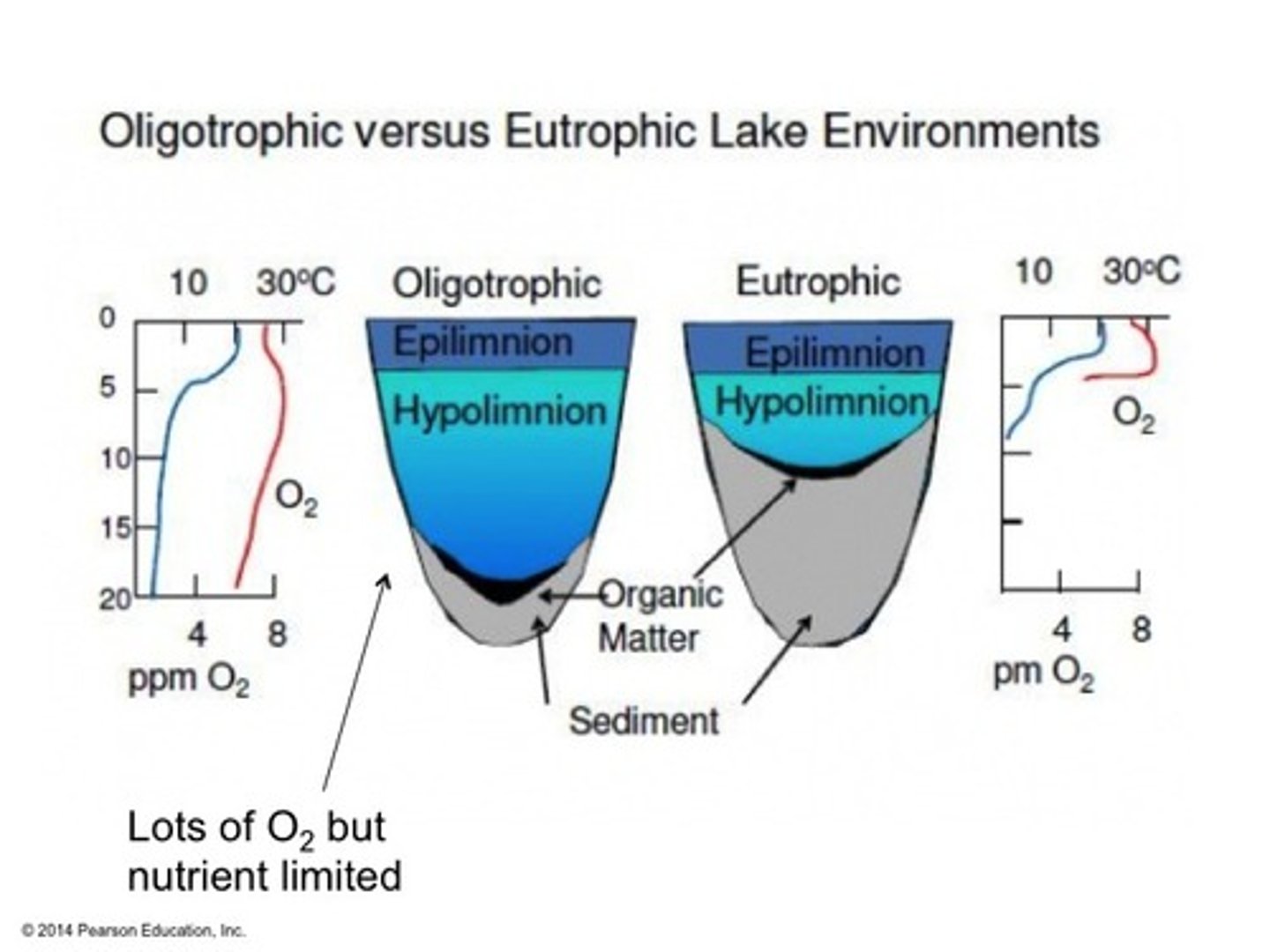 <p>Lakes with low productivity because of little nutrients such as phosphorus and nitrogen.</p>