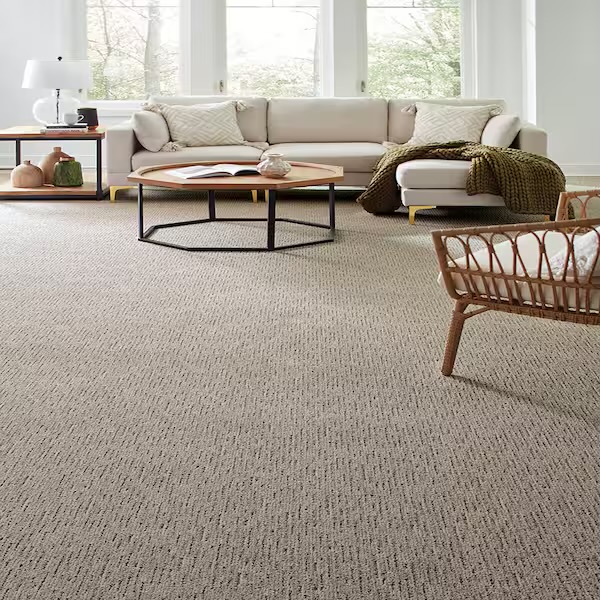 <p>Carpet (n)</p>