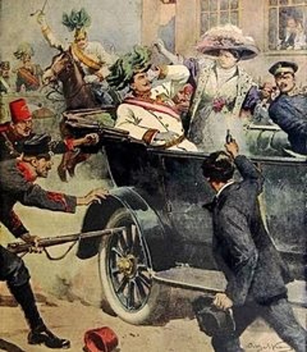 <p>This was the spark that started World War I. Archduke Ferdinand, the Austrian crown prince, was murdered on June 28, 1914, by a Serbian nationalist while visiting Sarajevo, Bosnia. Germany urged Austria-Hungary to fight and they went to war against Serbia; all of this due to Serbia wanting to expand</p>