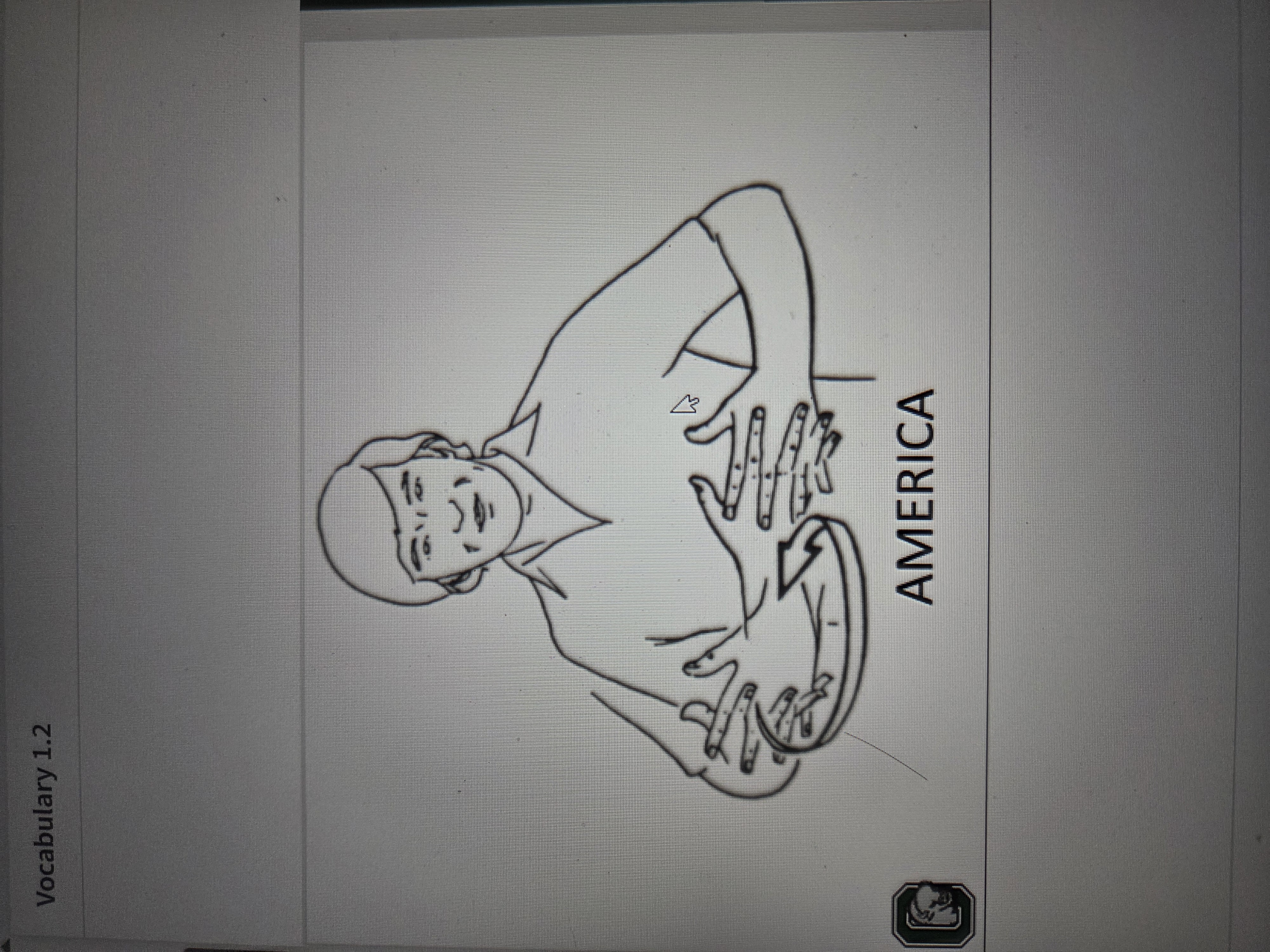 knowt flashcard image