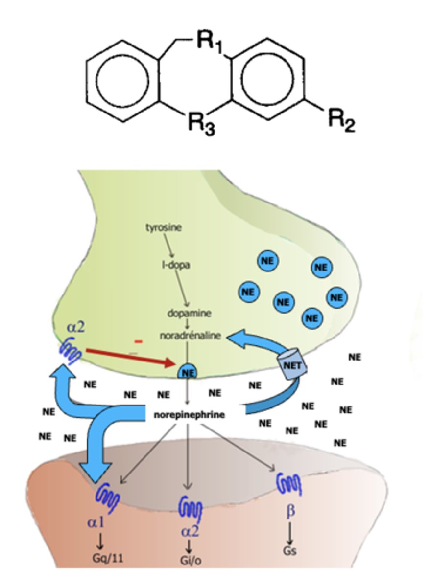 <p>The __________ attempt to remedy depression by inactivating the “amine” pump on the presynaptic nerve terminal and thus limiting the reuptake of both norepinephrine and serotonin. Unfortunately, many also have effects at muscarinic receptors, histamine type-1 receptors and alpha-1 receptors</p>