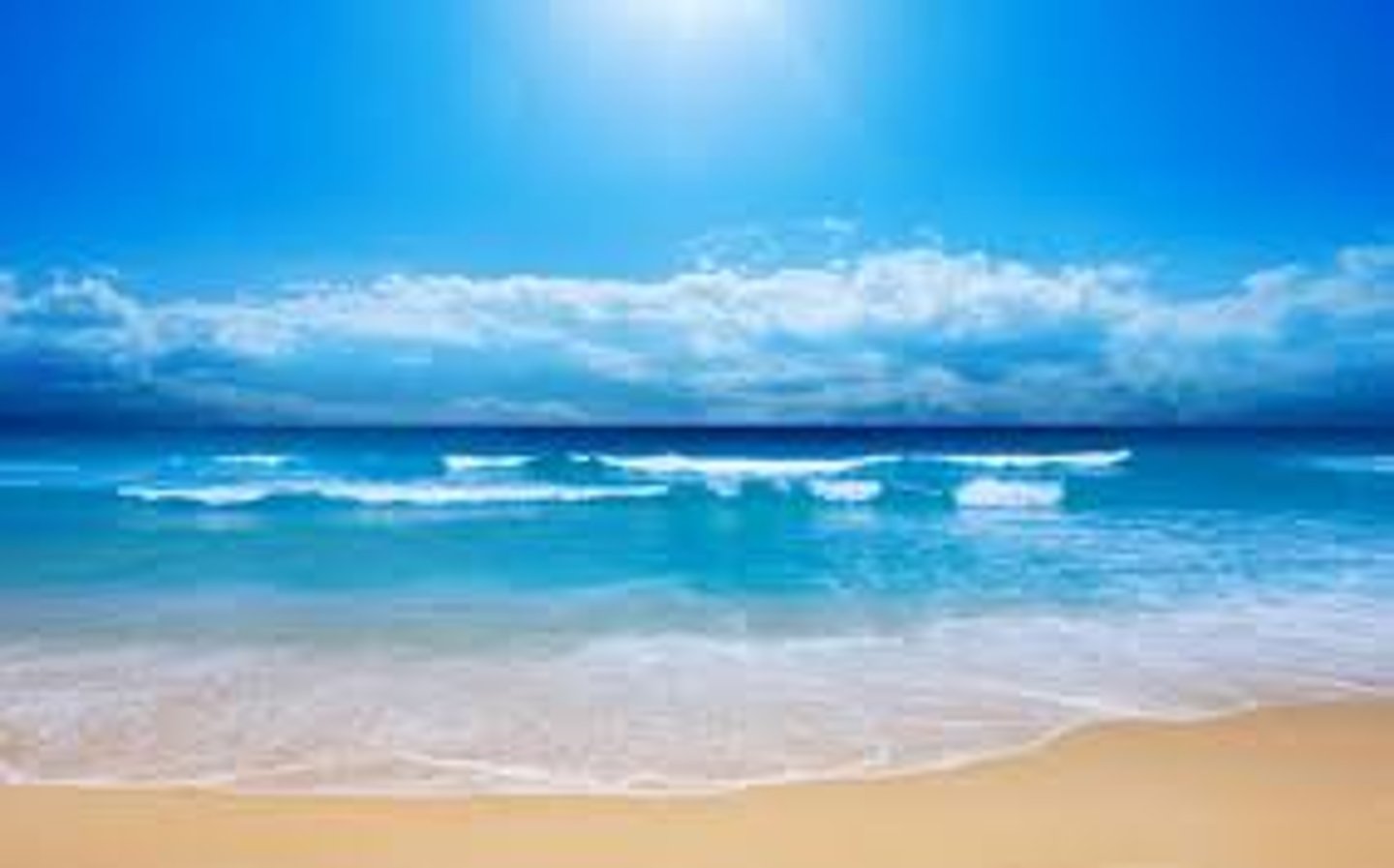 <p>an ocean</p>
