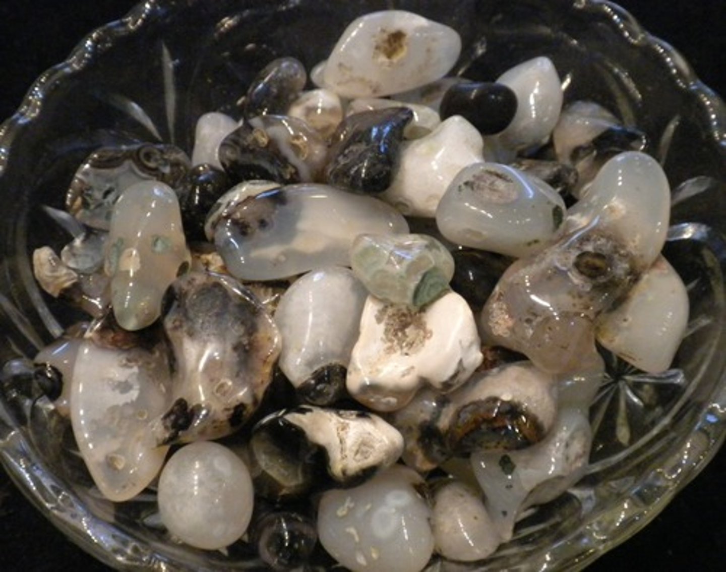 <p>Grey, black or brown and is banded.</p>