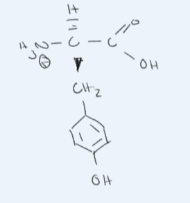 <p>What amino acid is this? </p>