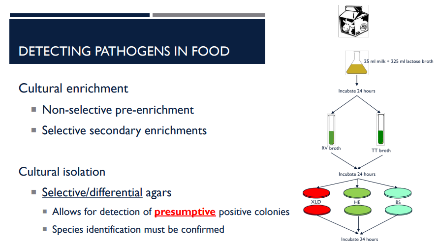<p>The purpose of&nbsp;Cultural Enrichment is to<strong>&nbsp;</strong>increase the number of target <strong>pathogens </strong>to detectable levels (detecting pathogens in food). What are the two types of cultural enrichment?</p>