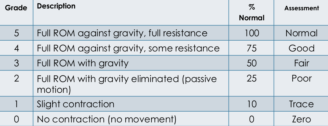 <ul><li><p>Assesses strength of prime mover muscle groups</p></li><li><p>Repeat ROM exercises with opposing force (resistance)</p></li><li><p>Evaluate the strength:</p><ul><li><p>Normal: Equal bilaterally and fully resist opposing force</p></li></ul></li><li><p>Document using 5-point scale</p></li></ul><p></p>