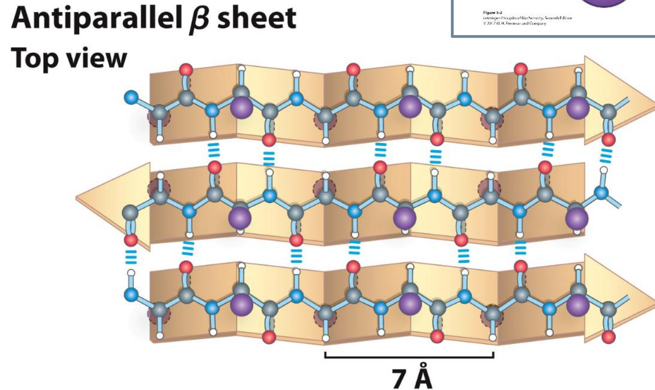 <p>7 A</p>