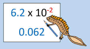 <p>A convenient way to express very large and very small numbers (numbers are expressed as the product of a coefficient and 10 expressed to a power)</p>