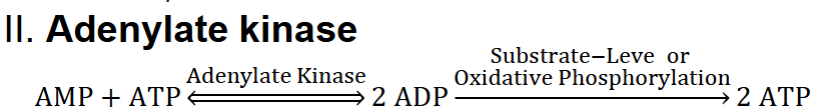 <ul><li><p><span style="color: rgb(0, 0, 0);">Oxidative phosphorylation</span></p><ul><li><p><span style="color: rgb(0, 0, 0);">A. Nutrient oxidation drives formation of H+ electrochemical gradient</span></p><ul><li><p><span style="color: rgb(0, 0, 0);">1. Dissipation of this gradient provides G that drives synthesis of ATP from ADP + Pi</span></p></li><li><p><span style="color: rgb(0, 0, 0);">2) look at pic</span><span style="color: rgb(0, 0, 0);"><br></span></p></li></ul></li></ul></li></ul><p></p>