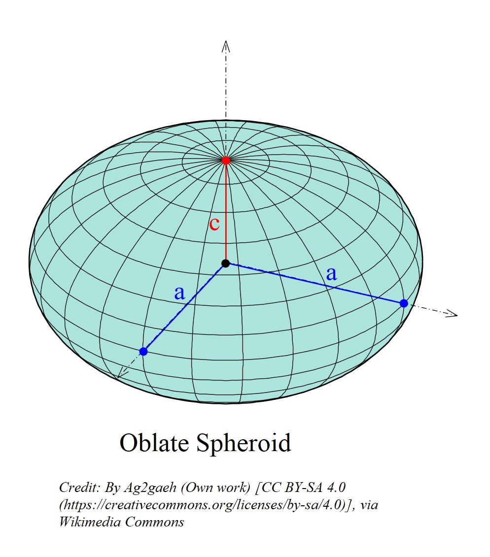 <p>A flattened sphere</p>