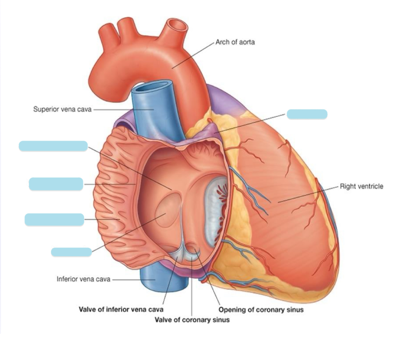 <p>Name the covered parts in the following photo</p>