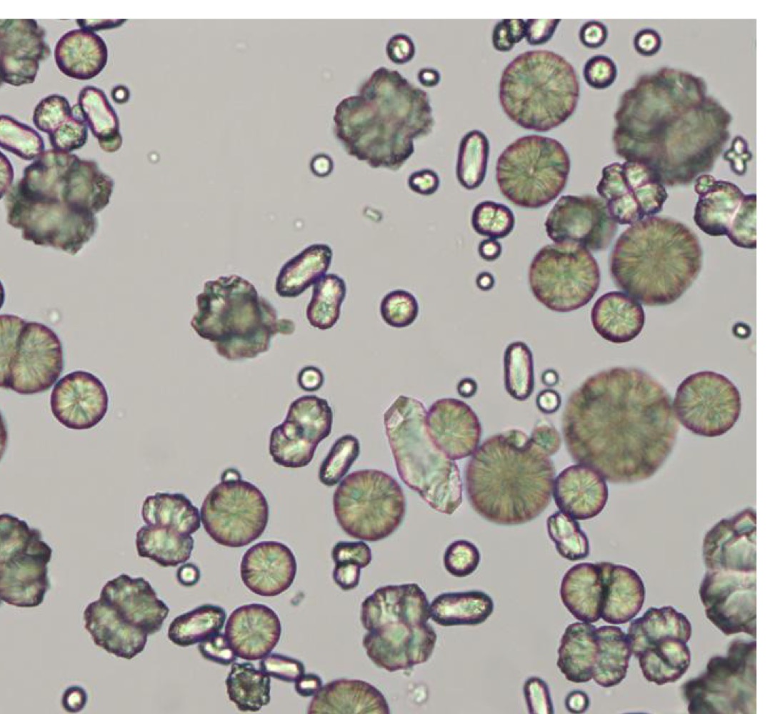 Identify this crystal.